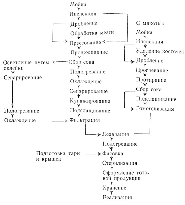 Технологическая схема производства яблочного сока