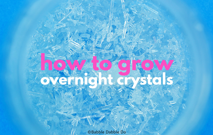 Learn how to grow salt crystals overnight in the refrigerator! Great project for the science fair.