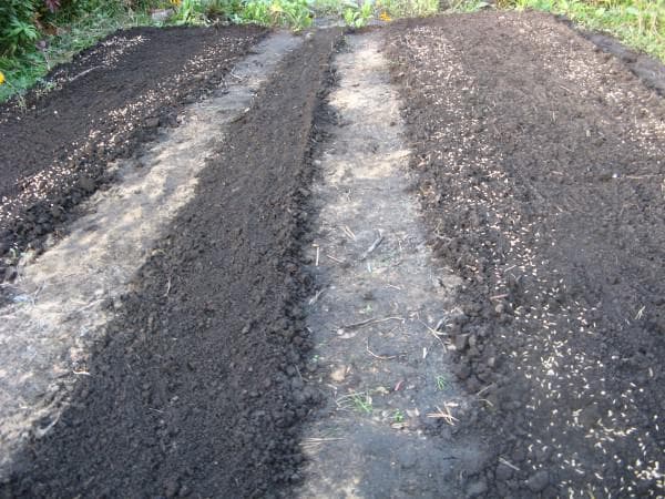 подготовка почвы к посадке кабачков