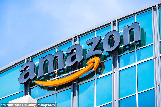 Amazon is the biggest e-commerce retailer in the world. Some 7.9m UK households with Amazon Prime membership are being targeted by scammers