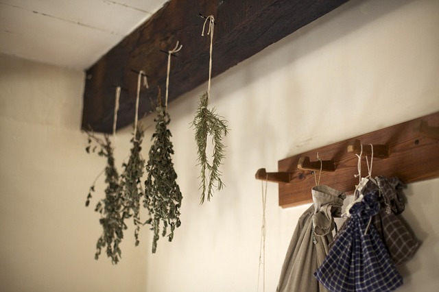 Drying herbs to sell to make money homesteading