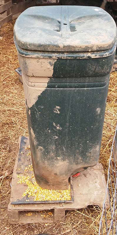 Pig waterer