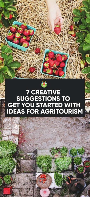 ideas for agritourism