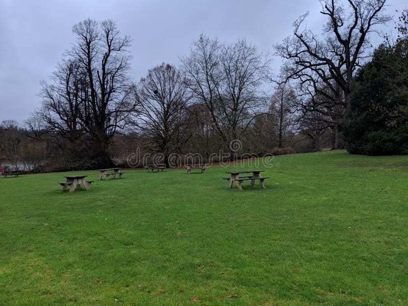 Benched green area in a clearing with real trees in the South east of the UK. Brown benches, Park land, in a wooded area stock photos