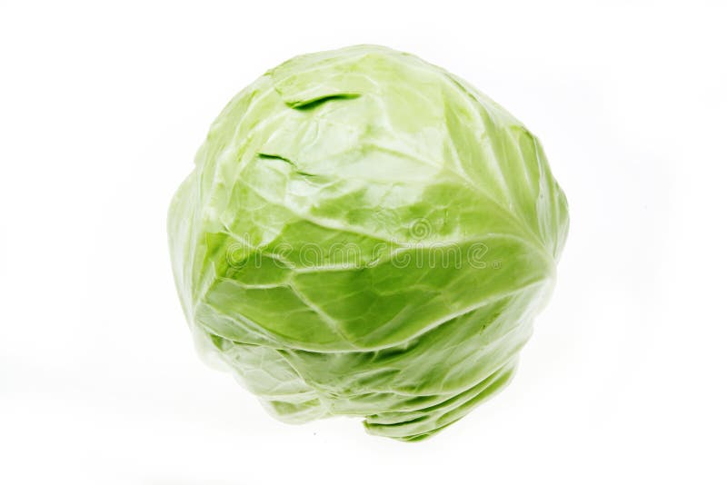 Cabbage royalty free stock photo