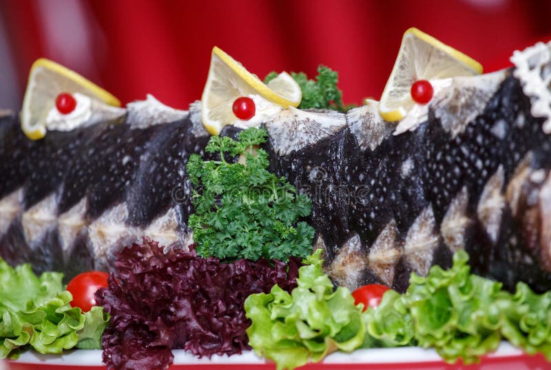 A dish of sturgeon. Close-up. Fried sturgeon, decorated with lemons and greens royalty free stock photo