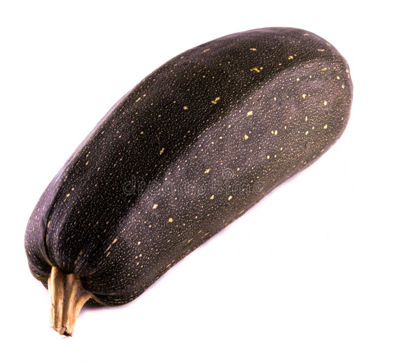 one zucchini stock image