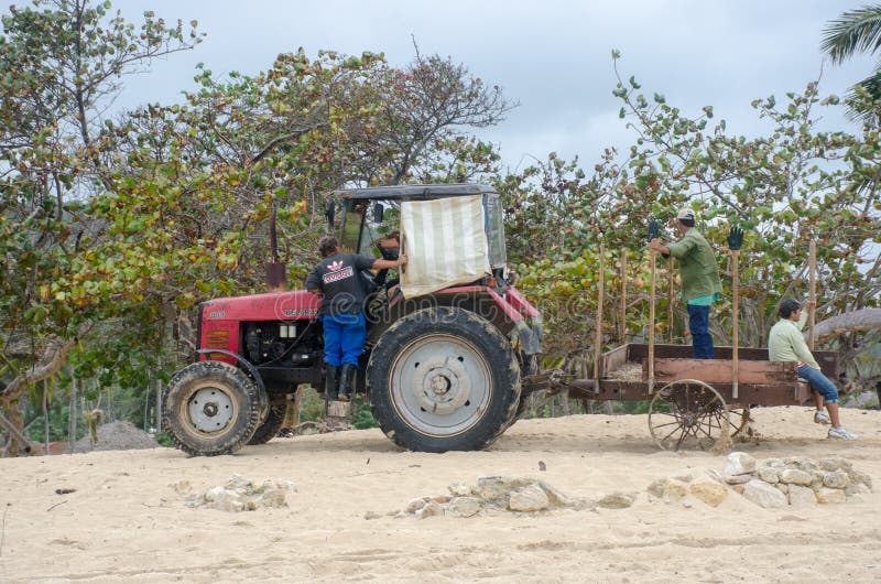 Tractor on caribbean resort beach clearing weed. Jibacoa Cuba - 25 January 2018: Tractor on caribbean resort beach clearing weed stock images