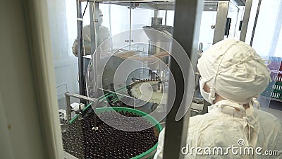Biotechnology, manufacture of biosequence, dairy products, stock footage