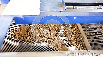 Some part of rice came out from the paddy separator machine. stock video