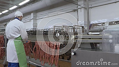 Vologda. Russia-may 2018: production of sausages and sausage products in the meat industry. stock video footage