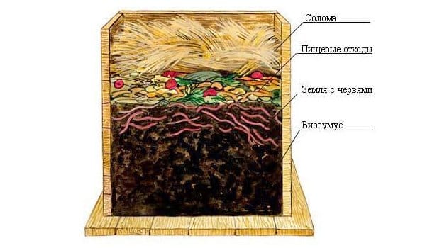 Самодельная червячная ферма для изготовления биогумуса