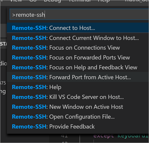 Remote-SSH options in VS Code