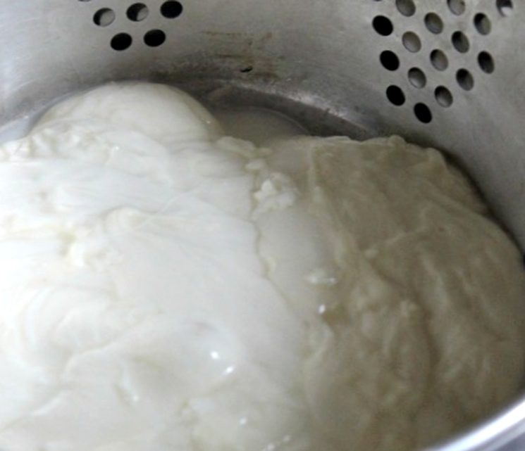 Делаем домашнюю моцареллу