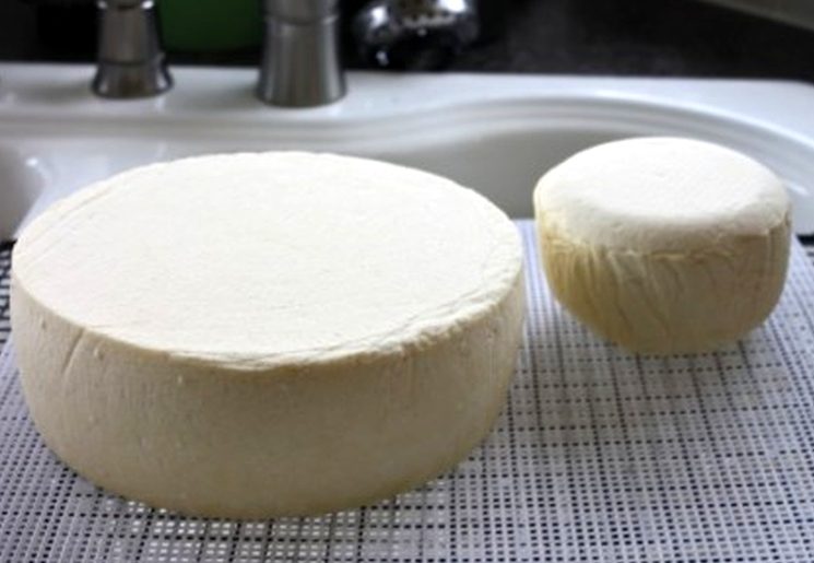 Рецепт голландского сыра в домашних условиях